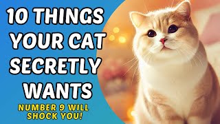 Things Cats LOVE More Than Treats / Cat World Academy