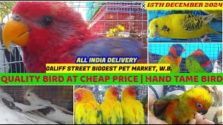 Galiff Street Market Recent Week Exotic Bird Price | हैंड टेम बर्ड प्राइस गालिफ़ स्ट्रीट पर| 15/12/24