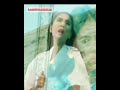 Lebah laray - nurhalimah