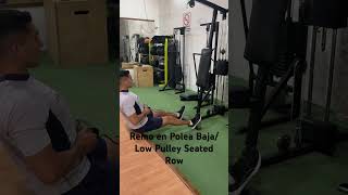 Remo en Polea Baja/ Low Pulley Seated Row