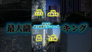 個人的政令指定都市最大副都心、都心ランキング　#地理系 #地理系を救おう #おすすめ #おすすめにのりたい  #fy #fyp