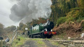 Dean Forest Railway - Royal Forest Of Steam 2024