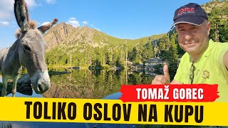 Toliko oslov na kupu nisem še nikoli videl! 😮😁 Lepote prekletih planin - Prokletije❤️ - 6. in 7. dan