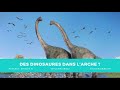 genèse 6 et 7 des dinosaures dans l arche de noé