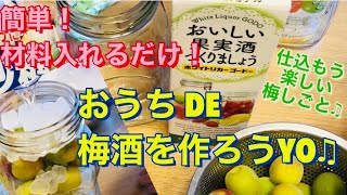 そうだ！梅酒を作ろう！一瞬レモン酒