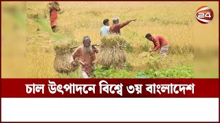 চাল উৎপাদনে বিশ্বে ৩য় বাংলাদেশ | Rice production | World Ranking | Channel 24