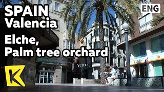 【K】Spain Travel-Valencia[스페인 여행-발렌시아]세계문화유산, 야자수 마을 ‘엘체’/Elche, Palm tree orchard/Pueblo/Village