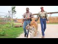 Here Kitty Kitty (Remix)- Joe Exotic Tiger King