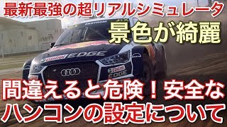 DirtRally2.0 挙動も景色も最高！安全なハンコン設定説明します！picar3