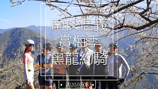 【公路車】南投信義│梅花季│單車賞梅之旅│路線介紹│ft.黑龍約騎│Cycling Lady布拉魚