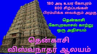 தென்காசி காசி விஸ்வநாதர் திருக்கோயில் / Tenkasi Kasi Viswanathar Temple History in Tamil