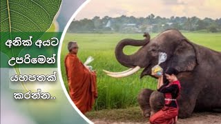 ඔබ ලද අවස්ථාවෙන් කල හැකි උපරිම යහපත කරන්න..