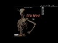 T-BAN- SEJA-BANA ( Prod.by Thy Kingdom MusiQ)