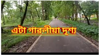 এটা গাঁৱলীয়া সৰু দৃশ্য ।।। Assamese vlog 🏞️🚲🚲🚲