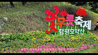 제24회 함평모악산 꽃무릇 축제, #제24회함평모악산꽃무릇축제, #함평모악산꽃무릇축제,