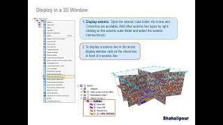 Seismic Visualization