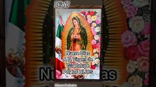 Virgen de Guadalupe Día 7 #oracionporloshijos #virgenmaria #oracion #s #hijosded