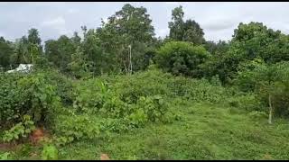 1.26 Acres of land at Kuravilangad, near Science City, Kottayam District, Kerala.