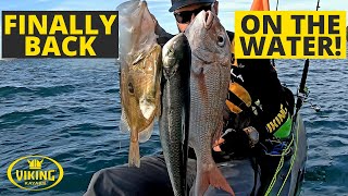 Snapper, John Dory, Kahawai 300m Off Auckland's Shoreline | Kayak Fishing New Zealand