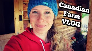 Canadian Farm VLOG | Meet the Animals | Homemade Tomato Soup