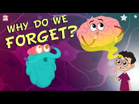 Why Do We Forget The Dr Binocs Show Best Learning Videos For Kids