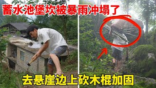 贵州一家人隐居深山，接二连三的暴雨把蓄水池的堡坎冲塌了，赶紧砍了一大堆竹子加固堡坎，蓄水池终于保住了