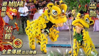 Lion Dance by Hong Yi 弘毅 - Johor Trditional Lion Dance League @ Hwee Ling Kuan