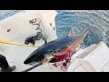 We Fished ALL DAY For This TUNA!! Fall Ghost Bluefin Hunting!