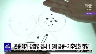 충남보환연, 곤충 매개 감염병 검사 1.5배 급증/대전MBC