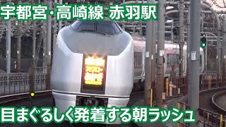 【次々発着！】宇都宮線・高崎線・上野東京ライン 赤羽駅 早朝発着集【651系スワローあかぎ・E257系送り込み回送・E231系・E233系】