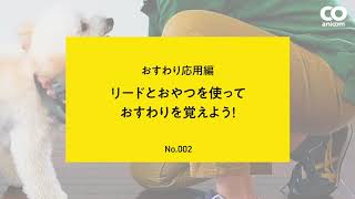 おすわり応用編　リードとおやつを使っておすわりを覚えよう！