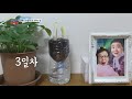 라면에 파 는 사치 파테크 를 아십니까 kbs 210317 방송