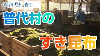 三陸の海が育む～特産すき昆布づくり 日本財団 海と日本PROJECT in 岩手 2020 #26