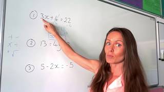 The Maths Prof: Solving Linear Equations (part 1)
