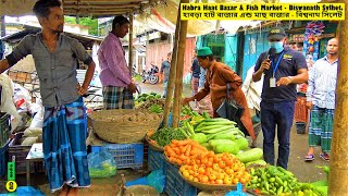 Habra Haat Bazar \u0026 Fish Market - Biswanath Sylhet হাবড়া হাট বাজার এন্ড মাছ বাজার - বিশ্বনাথ সিলেট