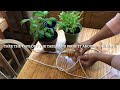 how to make a plant hanger from rope.