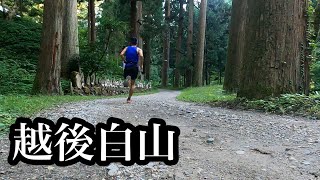 【山記】新潟急登TT 越後白山（1012m）天狗の背中を追いかけて3.5km 24.5%