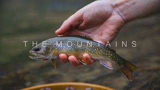 The Mountains | Home of The Native Brook Trout