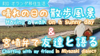 オランダ生活vlog│散歩風景からの友達と宮崎弁でビデオ通話語り│Having a walk / Chatting in Miyazaki dialect│in the Netherlands #30