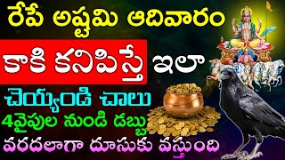 రేపే అష్టమి ఆదివారం కాకి కనిపిస్తే ఇలా చెయ్యండి చాలు 4వైపుల నుండి డబ్బు  వరదలాగా దూసుకు వస్తుంది