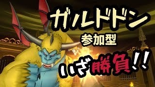 ドラクエ10ライブ配信　ガルドドン仕込み配信 色々な構成で勝ちたいので一緒に練習お願いします【猿鯖日記196ゲーム】