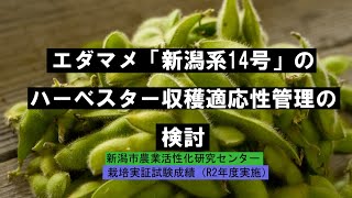 令和２年度「エダマメ「新潟系14号」のハーベスター収穫適応性管理の検討」