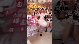 【西山ダディダディ】誰のダンスが好き？　#shorts #メイドカフェ #コンカフェ #秋葉原 #踊ってみた