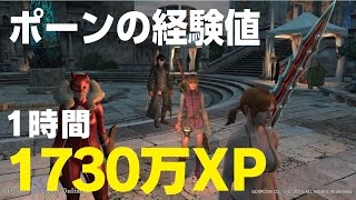 DDON　ポーンの経験値1時間で1730万XP