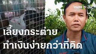 เกษตรทำเงิน : เลี้ยงกระต่าย ทำเงินง่ายกว่าที่คุณคิด | 04 พ.ย. 66 | ตะลอนข่าวสุดสัปดาห์