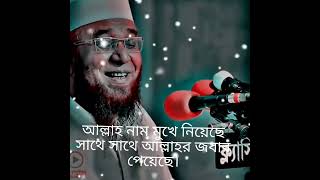 আড়াইশো বছর মূর্তি পূজা করেও একবার ভুলে আল্লাহ নাম মুখে নিয়েছে সাথে সাথে আল্লাহর জবাব পেয়েছে