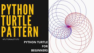 How to draw pattern using Python Turtle | Python turtle graphics tutorial