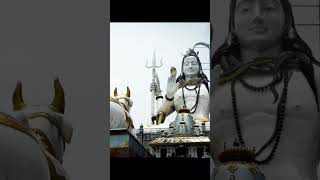 Why Mahashivratri 2025 is going to be INSANE #shorts #virals