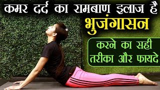 Bhujangasana For Back Pain: Correct way of doing Cobra Pose | भुजंगासन करने का सही तरीका Jeevan Kosh