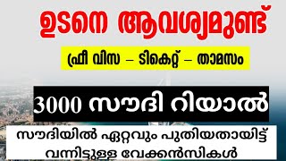 Gulf jobs Malayalam, Gulf jobs 2022 Malayalam, Job Vacancy 2022, Education channel Malayalam